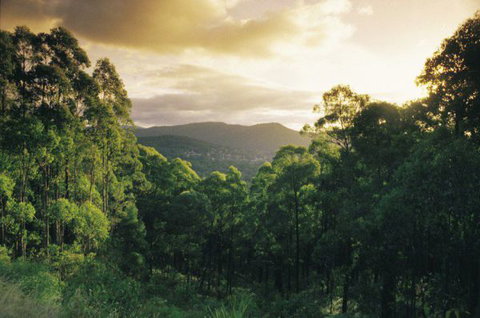 3 Kings Bed And Breakfast - New South Wales Tourism  4